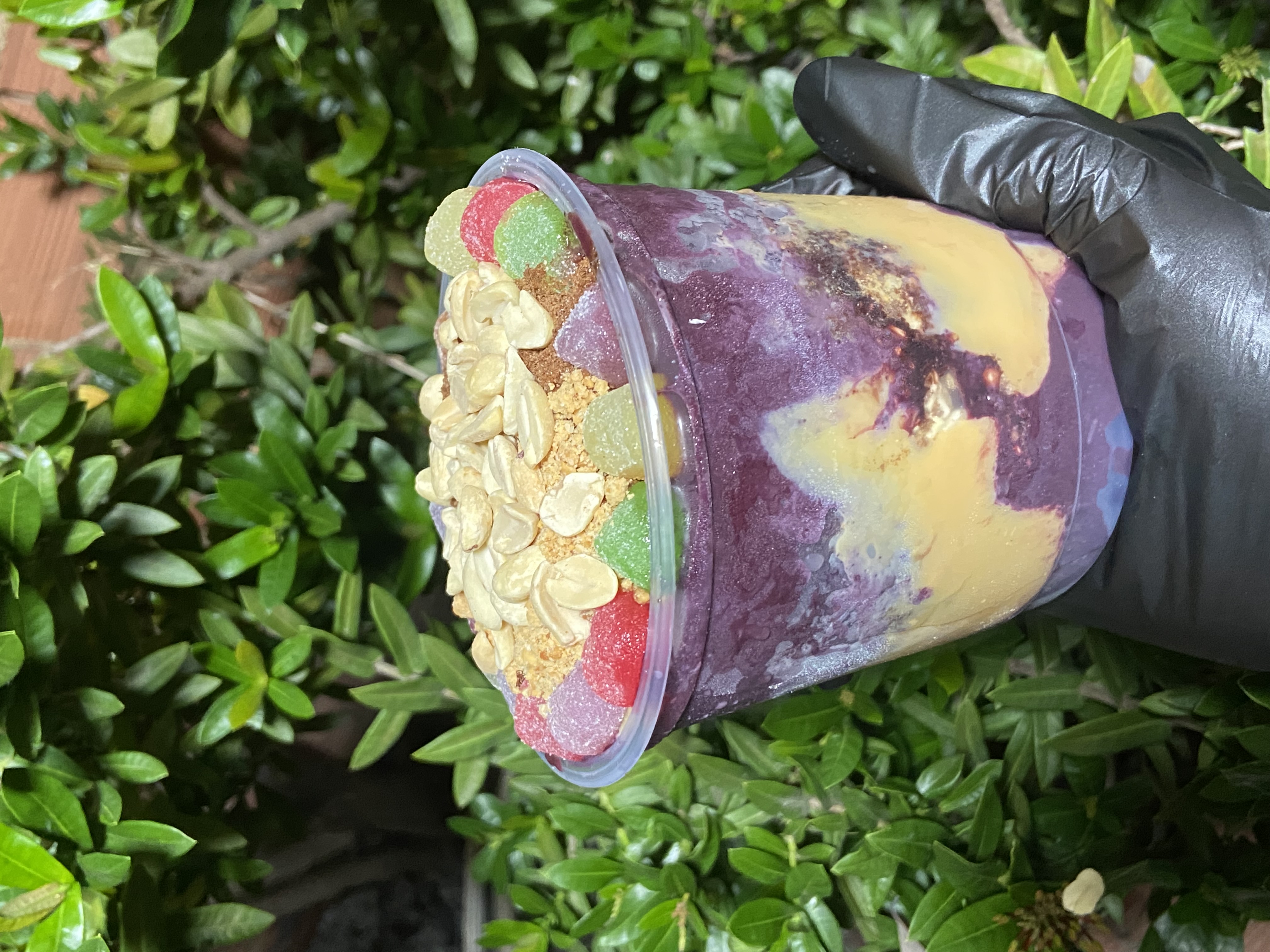 🟣 Açaí Power 750 ML majestoso