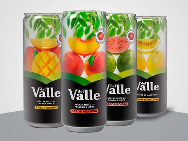 Sucos Dell Vale 290ml